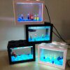27296-8cbdaa.jpg mini-aquarium