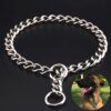 collier-chien