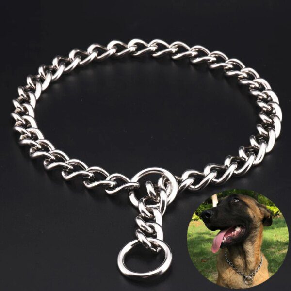 collier-chien