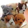peluche chien 5 styles de chiens mignons Kawaii
