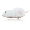 Souris en Peluche à Mouvement Mécanique pour Chat – Instinct Naturel