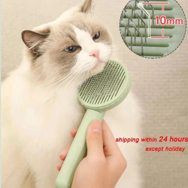 Brosse Roller™ Anti-Poils & Toilettage pour Chat et Chien 🐱 ♻