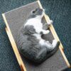 GRIFFCAT™ – Le griffoir design en bois qui devient aussi le lit