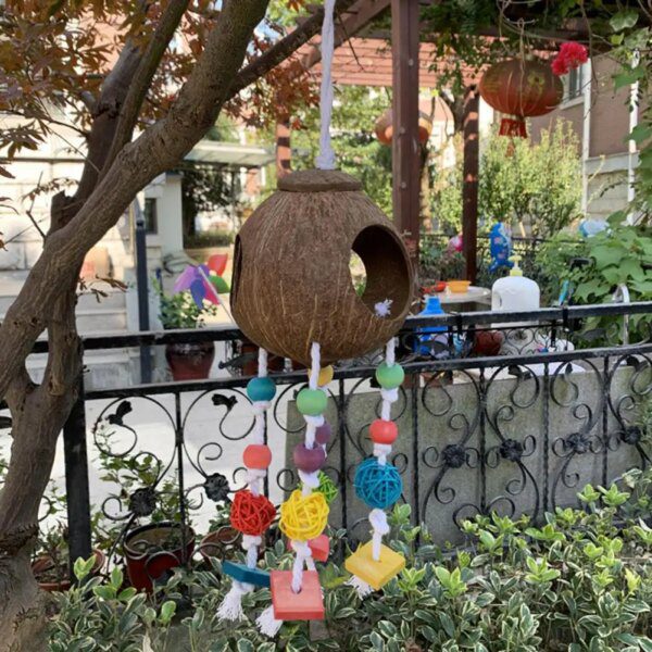 30268-7c3567.jpg Jouet Perroquet Résistant aux Morsures – Corde en Coton & Boule Trois Voies