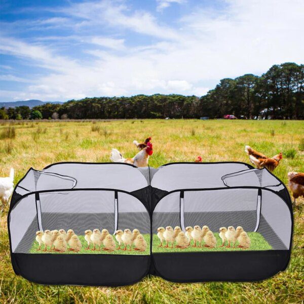 cage transport volaille, ferme, animaux🐔