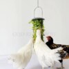 distributeur de nourriture pour volaille, légumes 🐔