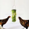 distributeur de nourriture pour volaille, légumes 🐔