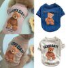 Sweat à capuche sport pour chien & chat – motif ours 🐻🐾