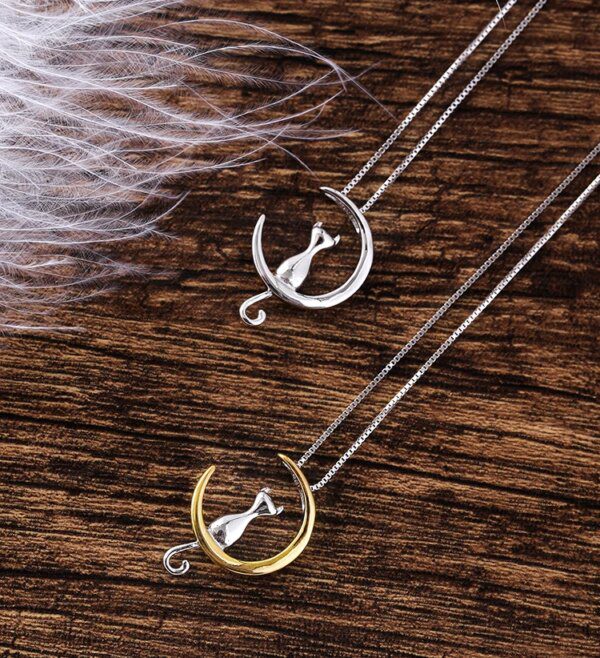 pendentif acier inoxydable en argent Sterling 925