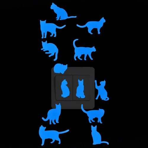 028 13 Cats