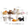 chat decoration colorées pour chats, 10 pièces, décoration de jardin pour la maison