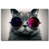 tableau chat, chat avec lunettes, galaxie, Art amusant