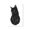 Imprimés modulaires chat noir humour
