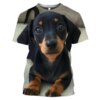 t shirt homme Teckel pour hommes, imprimé 3D, surdimensionné, mignon, chien Dackel