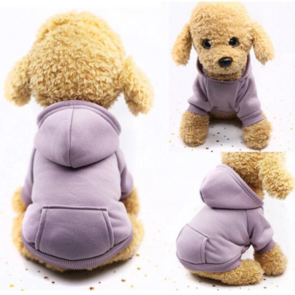 manteau pour chien Sweat chien, vetement pour chien, chiot, chihuahua