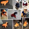 manteau pour chien Sweat chien, vetement pour chien, chiot, chihuahua