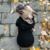 manteau pour chien imperméables pour chiens, veste à capuche en coton, le visage du chien petit chien chat