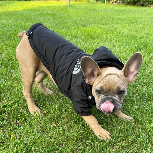 manteau pour chien imperméables pour chiens, veste à capuche en coton, le visage du chien petit chien chat