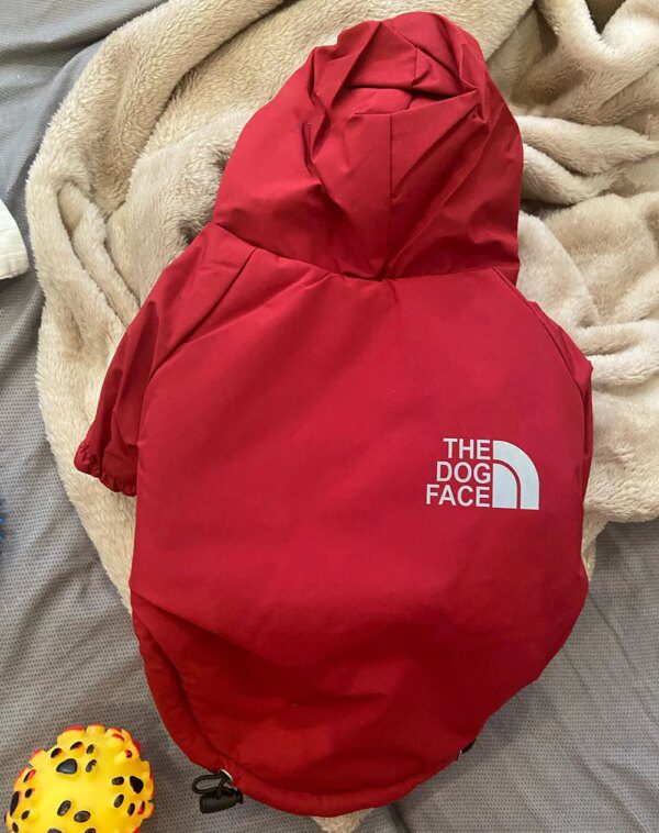 manteau pour chien imperméables pour chiens, veste à capuche en coton, le visage du chien petit chien chat