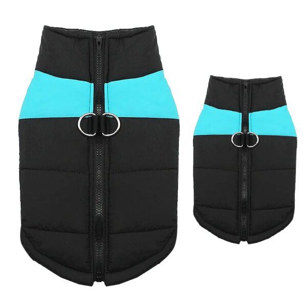 Manteau imperméable chaud pour chien 🧥 protection hivernale