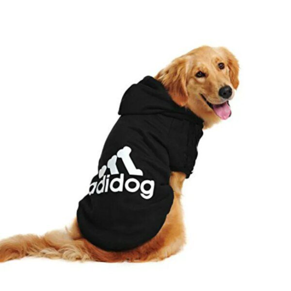 Sweat d’hiver pour chien 🐾 chaleur enveloppante