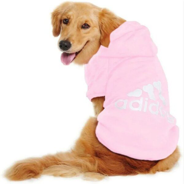 Sweat d’hiver pour chien 🐾 chaleur enveloppante