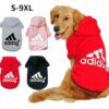 sweat-chien