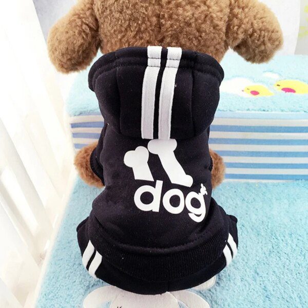 Veste chaude d’automne & d’hiver pour chien et chat 🧥🐾