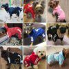 Veste chaude d’automne & d’hiver pour chien et chat 🧥🐾