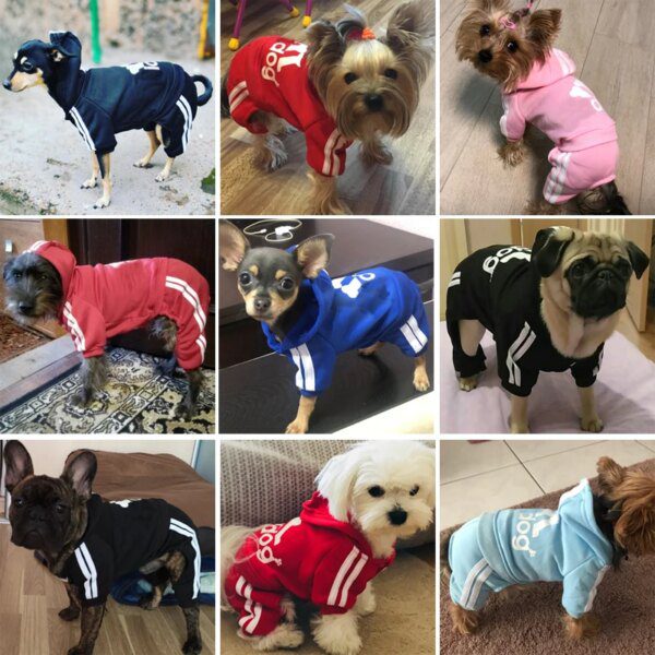 Veste chaude d’automne & d’hiver pour chien et chat 🧥🐾