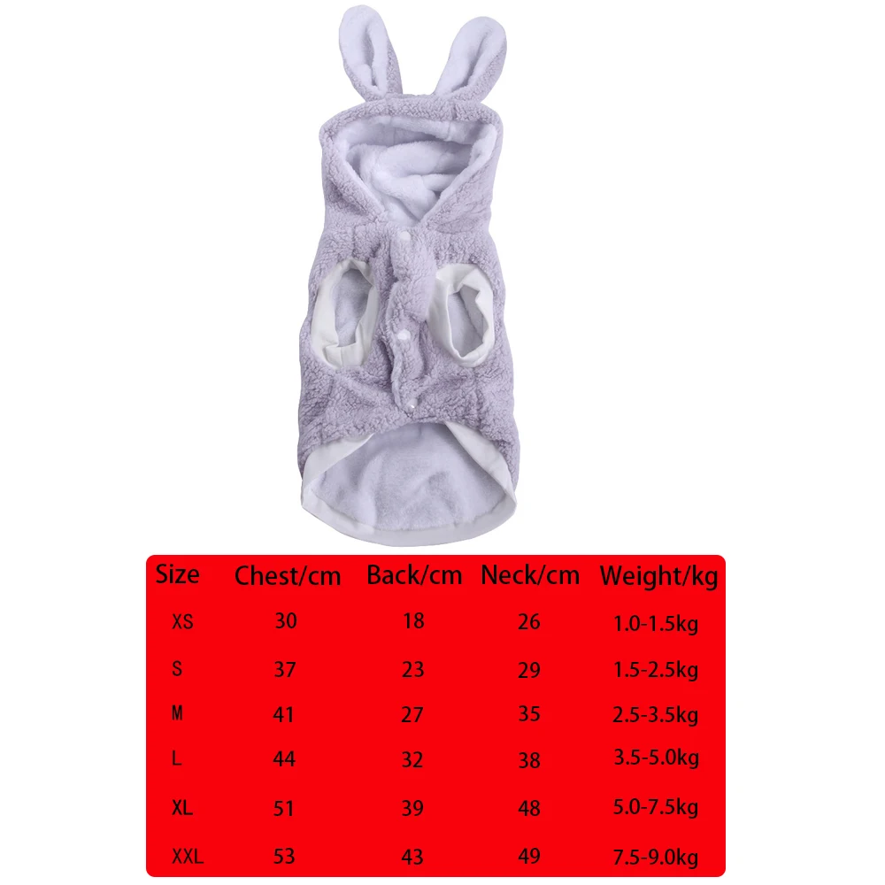 Gray Rabbit Clothes