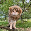 53700-361d14.jpg Déguisement lion pour chat & petit chien – Perruque cosplay