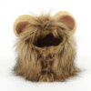 53701-20b438.jpg Déguisement Lion Chat – Perruque Cosplay Marron