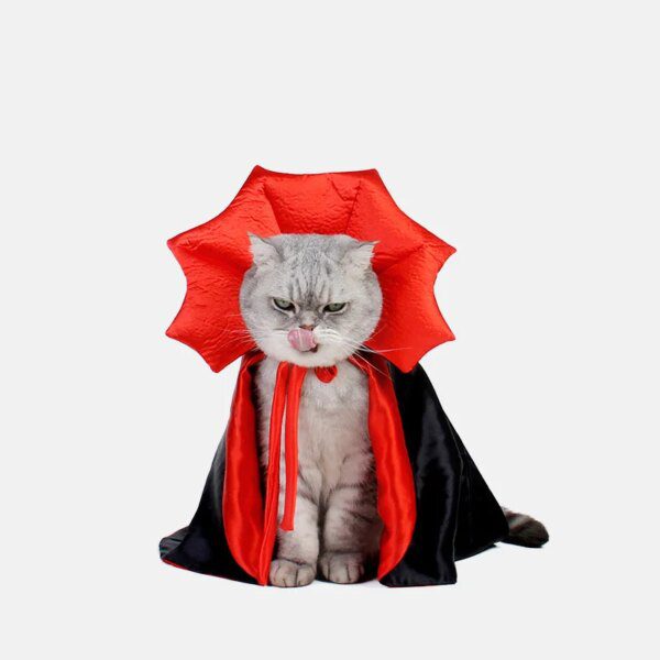 Déguisement Halloween pour chat & chien – Cape Vampire kawaii