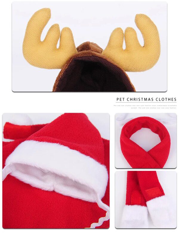 Chapeau & accessoires de Noël pour chat – Costume festif