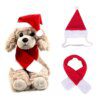 Chapeau & accessoires de Noël pour chat – Costume festif