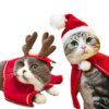 Chapeau & accessoires de Noël pour chat – Costume festif