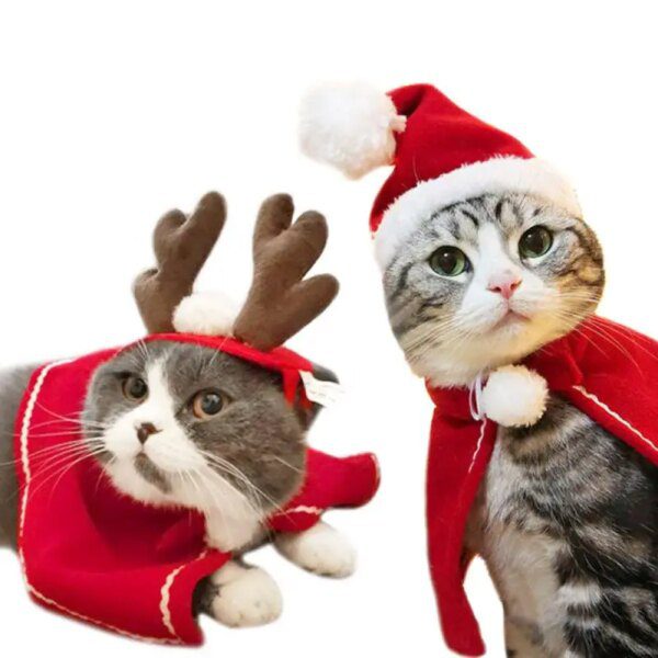 Chapeau & accessoires de Noël pour chat – Costume festif