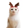 Chapeau & accessoires de Noël pour chat – Costume festif
