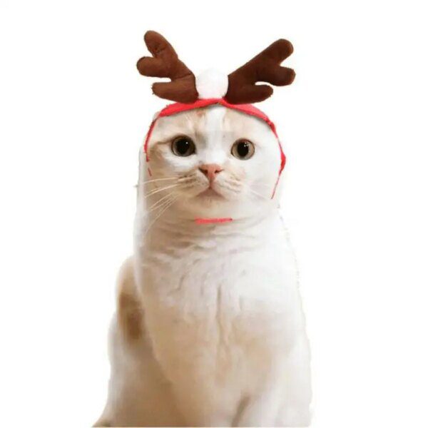 Chapeau & accessoires de Noël pour chat – Costume festif