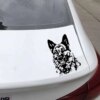 autocollants voiture et chien, 18cm x 12cm, décoration de moto