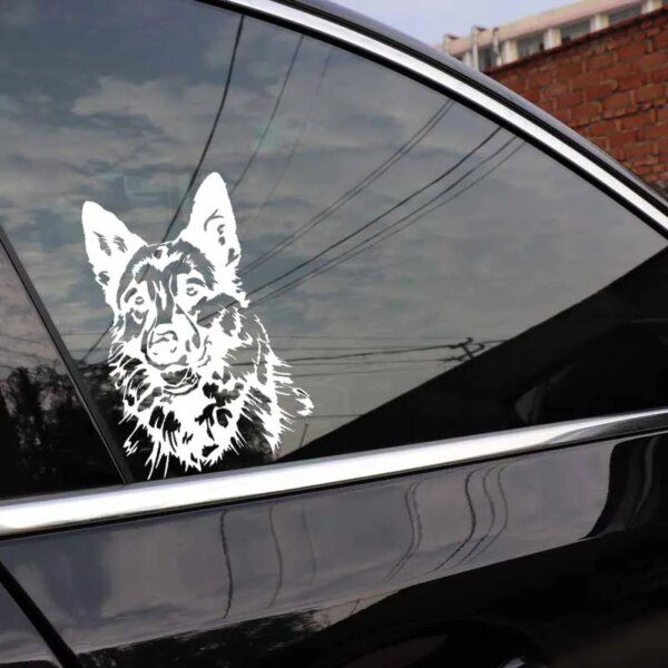 autocollants voiture et chien, 18cm x 12cm, décoration de moto