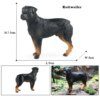 Figurines chien réalistes & mignonnes – Rottweiler, Collie