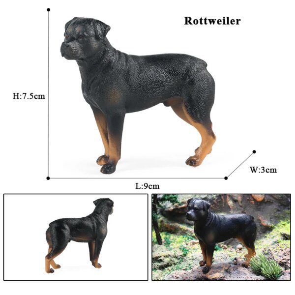 Figurines chien réalistes & mignonnes – Rottweiler, Collie