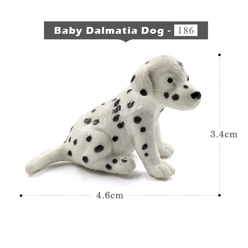 Baby Dalmatia Dog-b