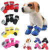 chaussures-pour-chien