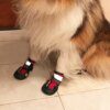 Bottines réfléchissantes imperméables pour chien 🐕 réfléchissantes et imperméables