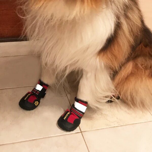 Bottines réfléchissantes imperméables pour chien 🐕 réfléchissantes et imperméables