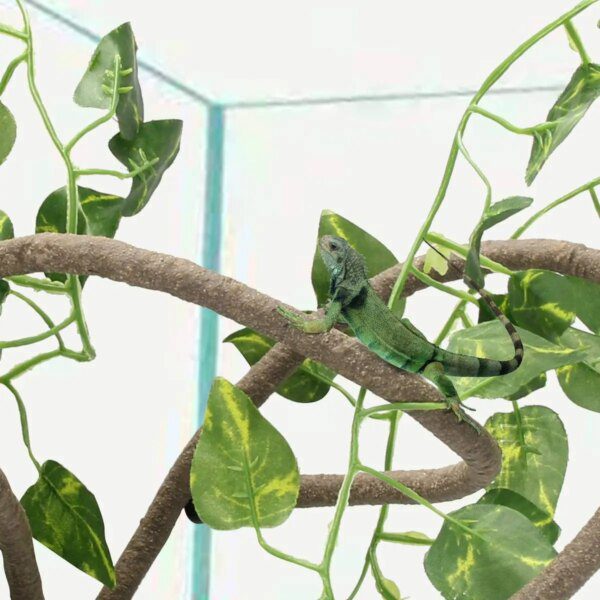 Vigne de Reptile Flexible artificielle, caméléon, lézard, Branches de Terrarium pliables