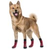 55351-922402.jpg Chaussettes de Noël antidérapantes pour chien en tricot